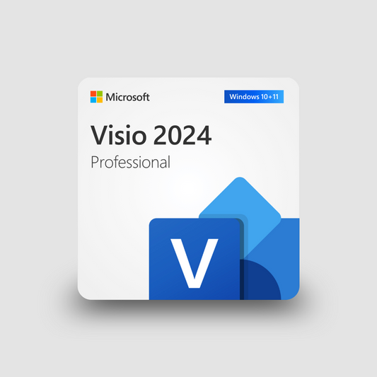 Visio Professional 2024 Bind